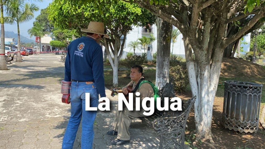 Fortín anuncia medidas de mitigación por fase 3 de la emergencia sanitaria