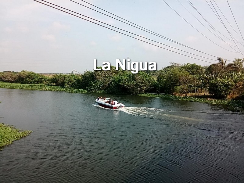 Desaparece joven en el Río Calzadas
