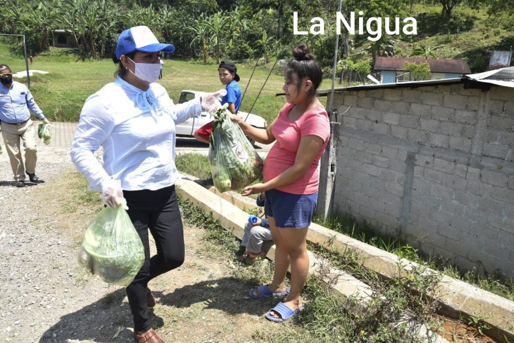 Ayuntamiento de Córdoba distribuye despensa verde en zona rural del municipio