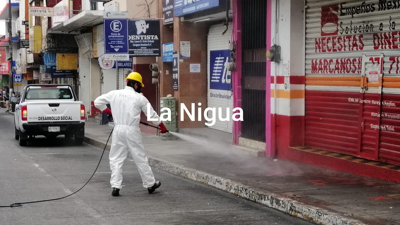 20200505 1856374488290285602577315