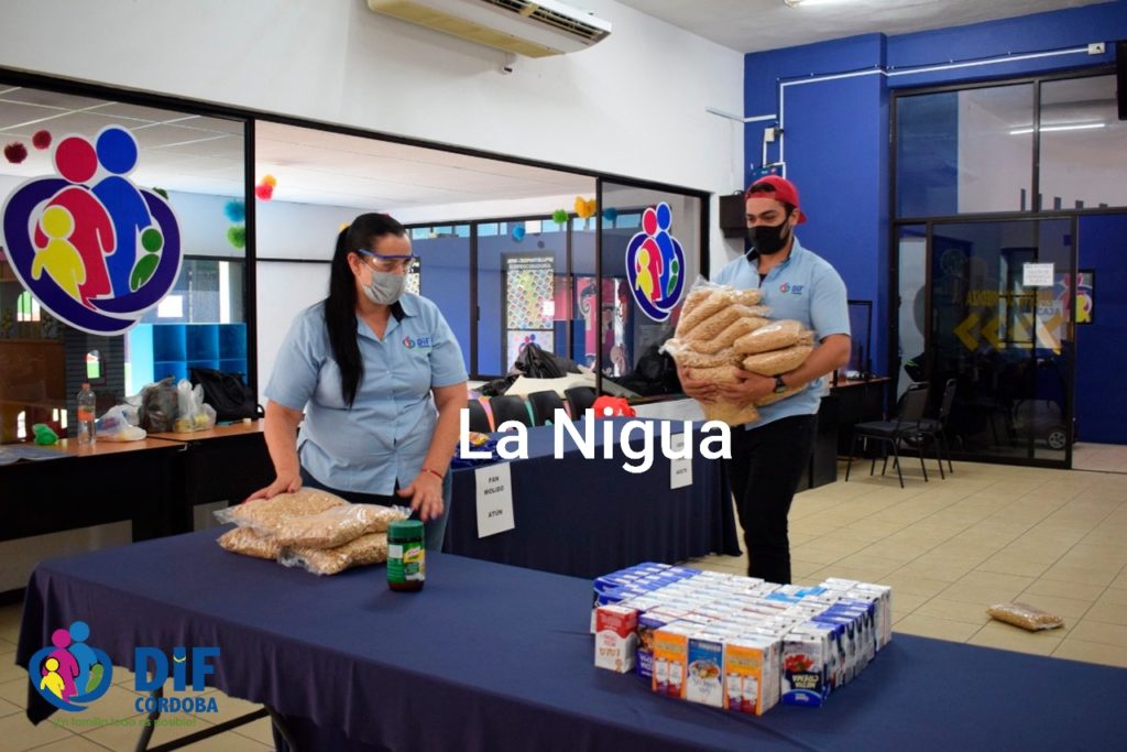 Emprende DIF y Ayuntamiento de Córdoba Campaña de Alimentos “Comidando”