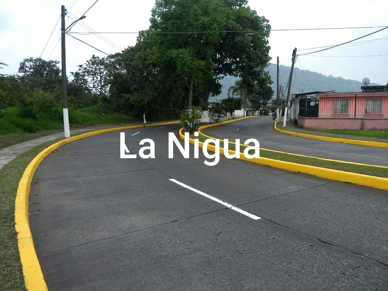 20200528 1956451932499294128875828
