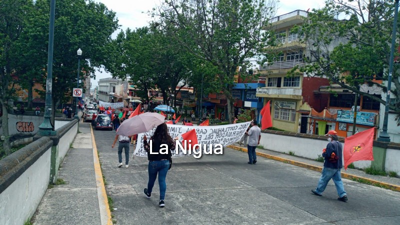 Integrantes de MILES piden apoyos