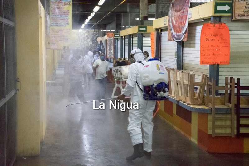 Sanitizan interior del mercado Revolución en Córdoba