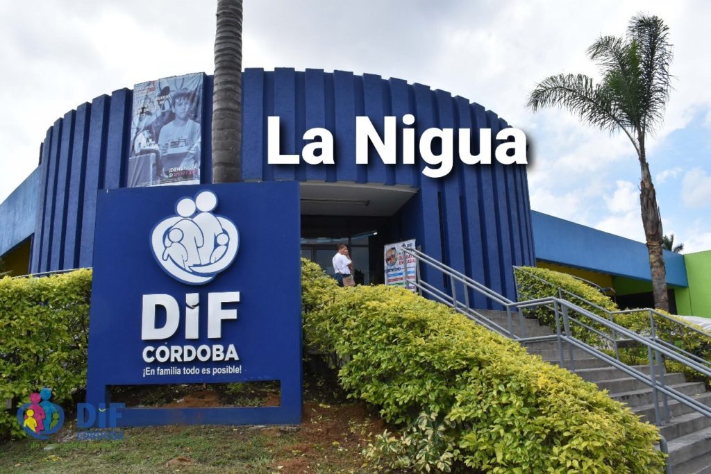 DIF Municipal no bajará la guardia, integra nueva línea de atención a personas con discapacidad