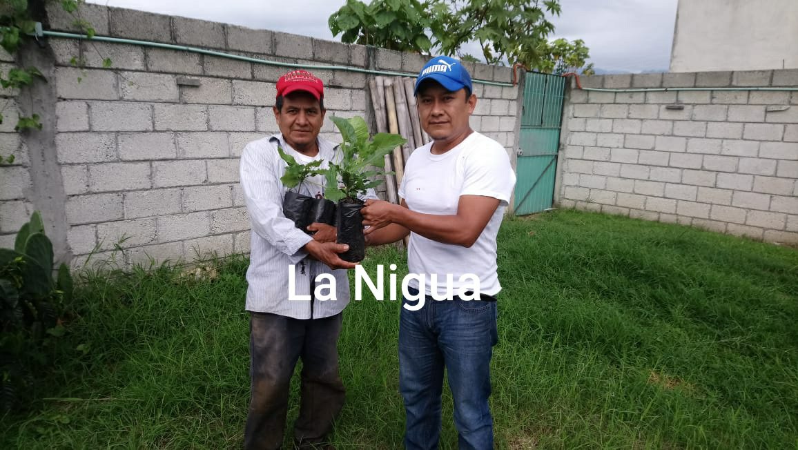 20200605 2115381764164624399876750 1