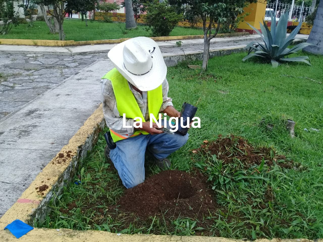 20200605 2126038884343398121357643