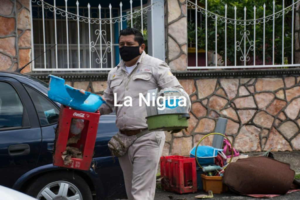 Inician Jornadas de Eliminación de Criaderos de Mosco