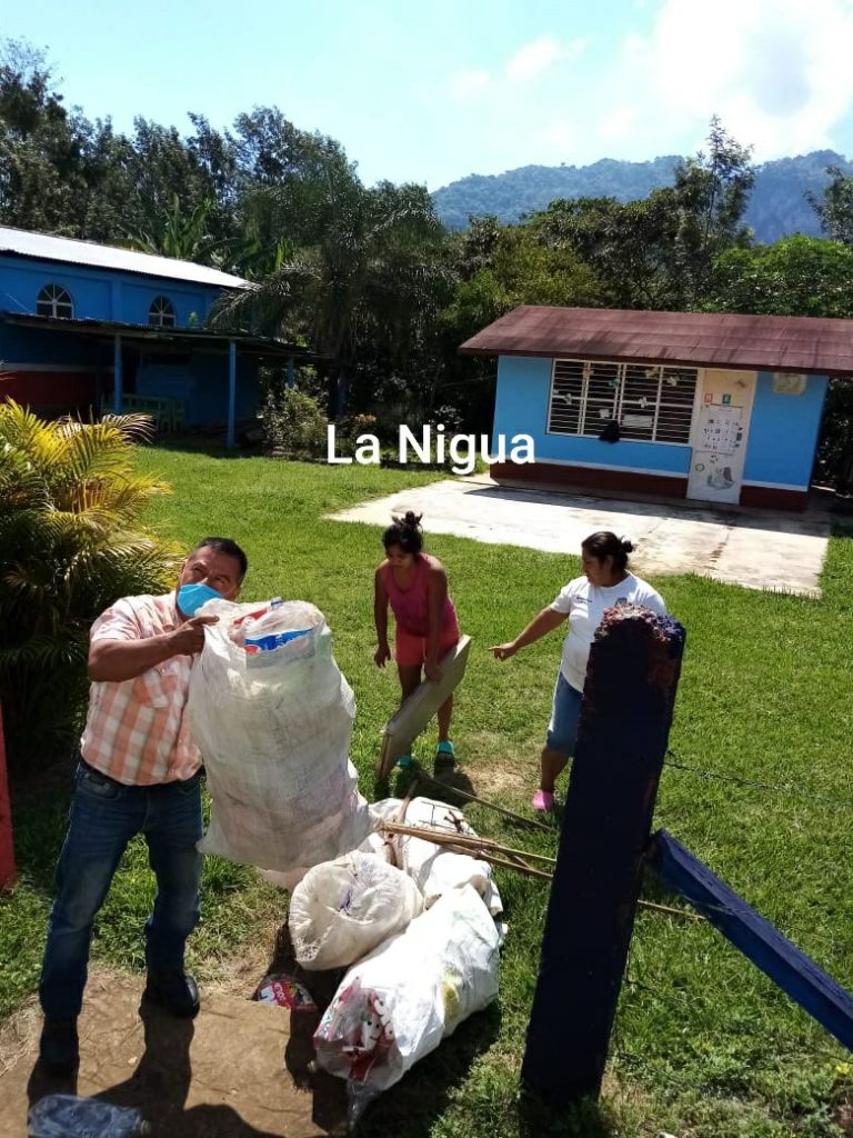 ELIMINAN CRIADEROS DE MOSCOS