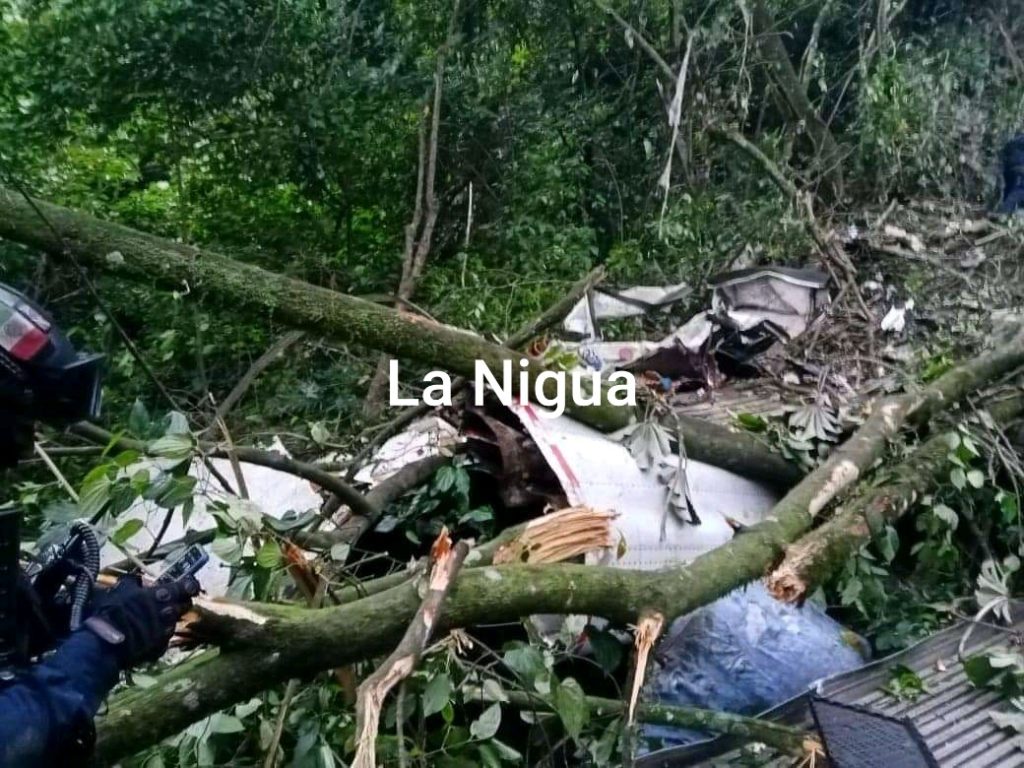Cae Tráiler a barranco.