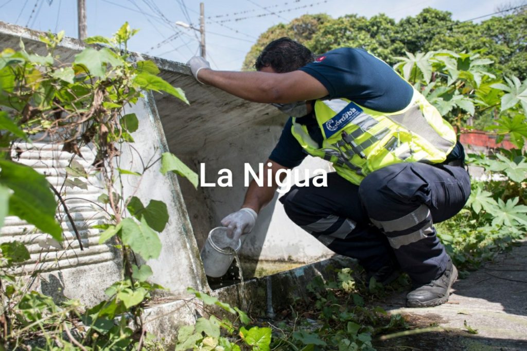 Recolectan más de 15 toneladas de residuos en Jornadas de Eliminación de Criaderos de Moscos en Córdoba