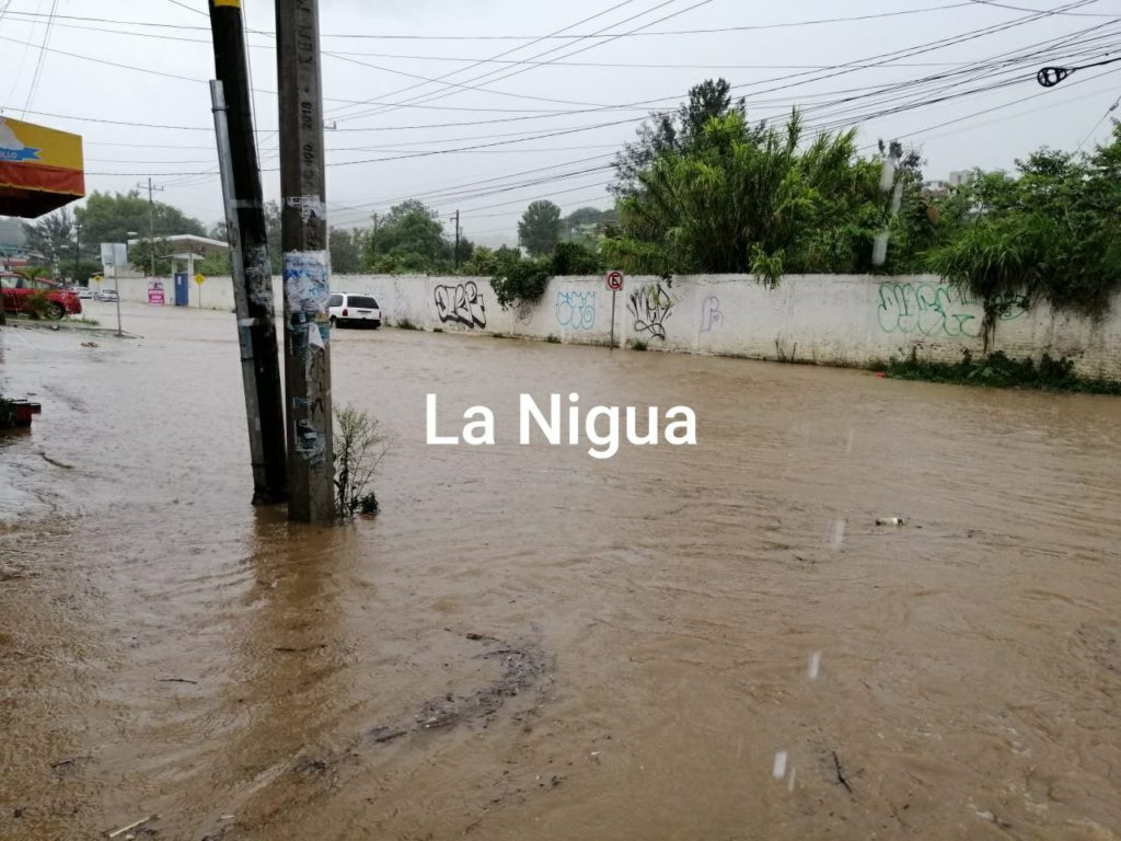Lluvias causan afectaciones en Xalapa