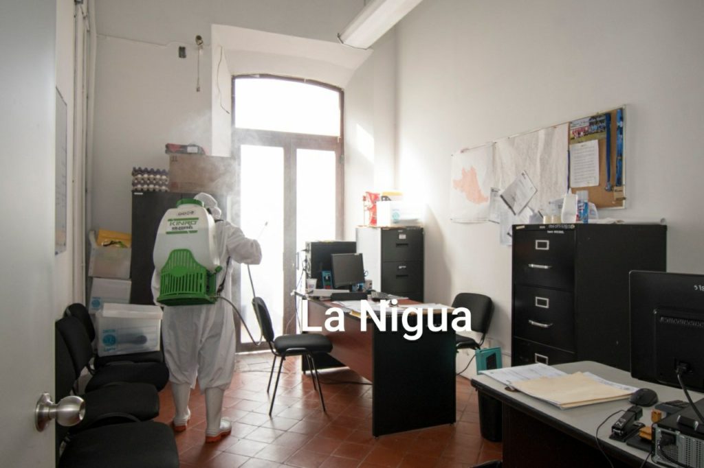 Ayuntamiento alista protocolos de salud para reiniciar servicio de oficina de SRE en Córdoba