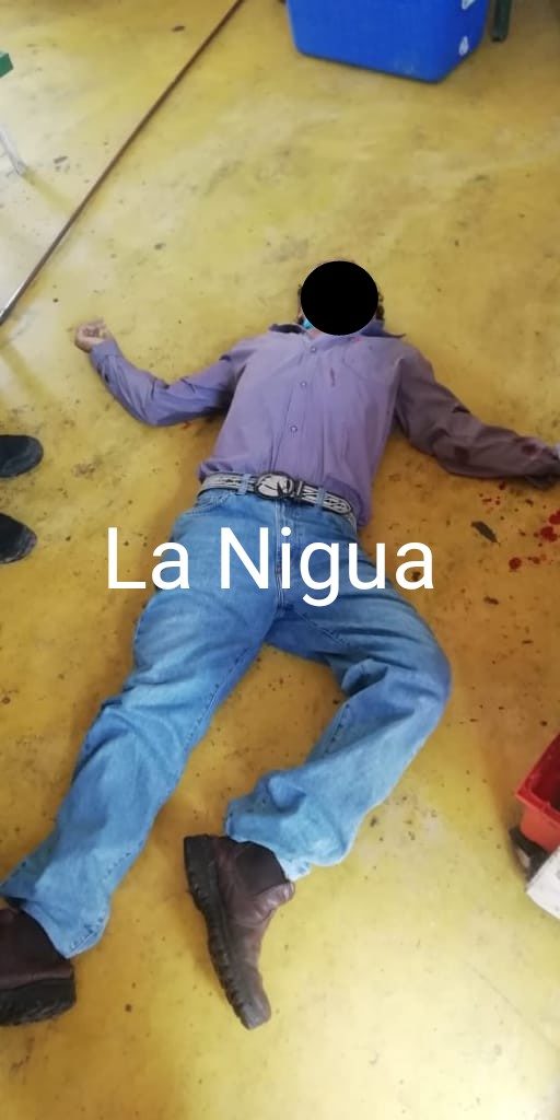 Ejecutan a dueño de tortillería en Agua Dulce