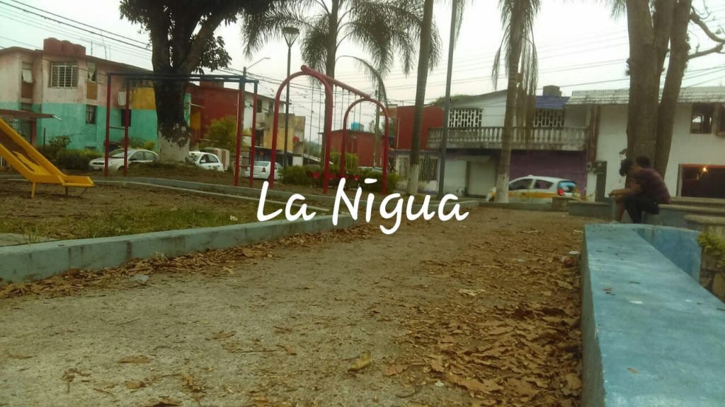 Sin mantenimiento parque de Infonavit santa margarita