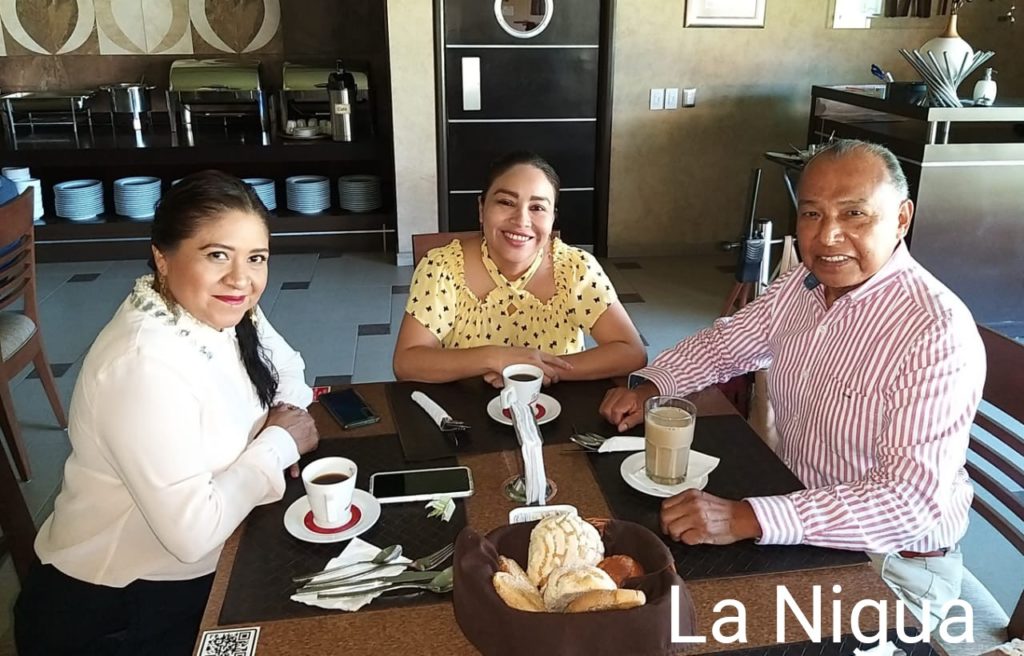 Emiten convocatoria para renovar comités municipales del PRI.