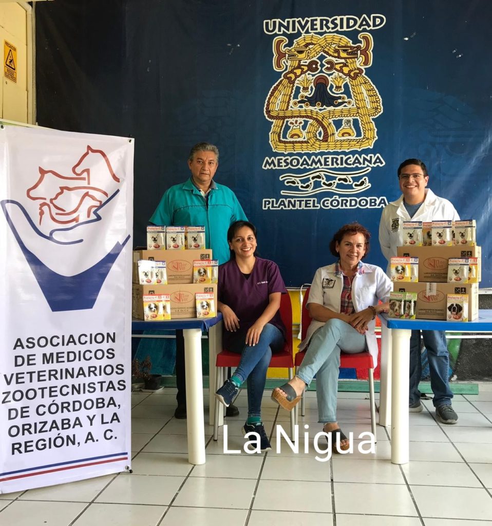 Ponen en marcha un programa de aplicación de pipetas contra pulgas y garrapatas