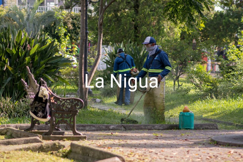 Refuerzan trabajos de Parques y Jardines en Fortín ante temporada de lluvias