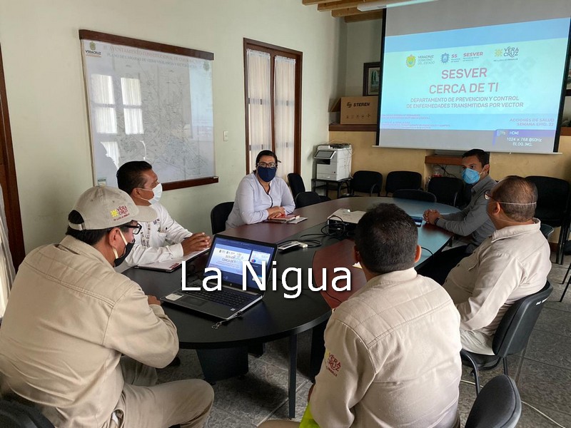 Ayuntamiento de Córdoba y Vectores refuerzan combate al dengue