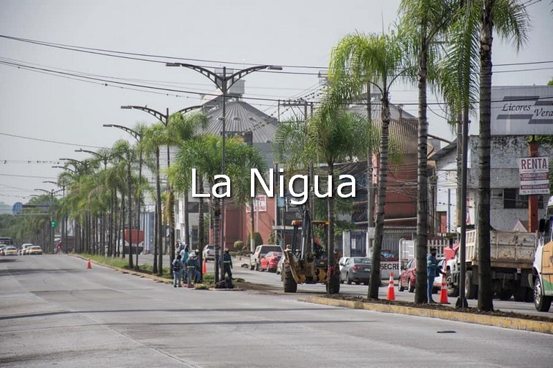 Ayuntamiento de Córdoba realiza trabajos de mantenimiento en bulevares, parques y jardines