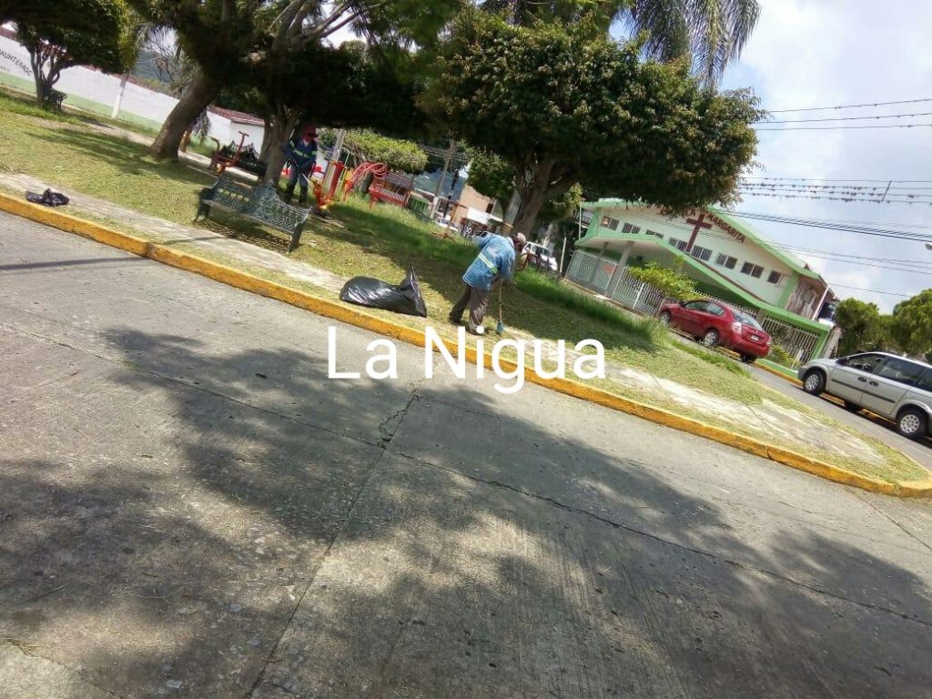 Ayuntamiento de Córdoba refuerza trabajos de limpieza en espacios públicos