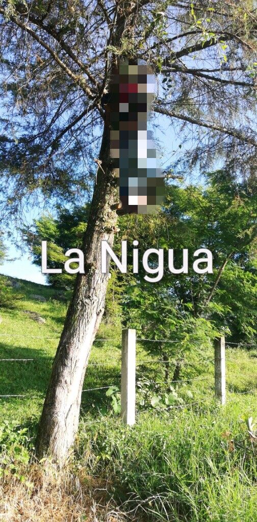 Hombre se quita la vida, en Xico