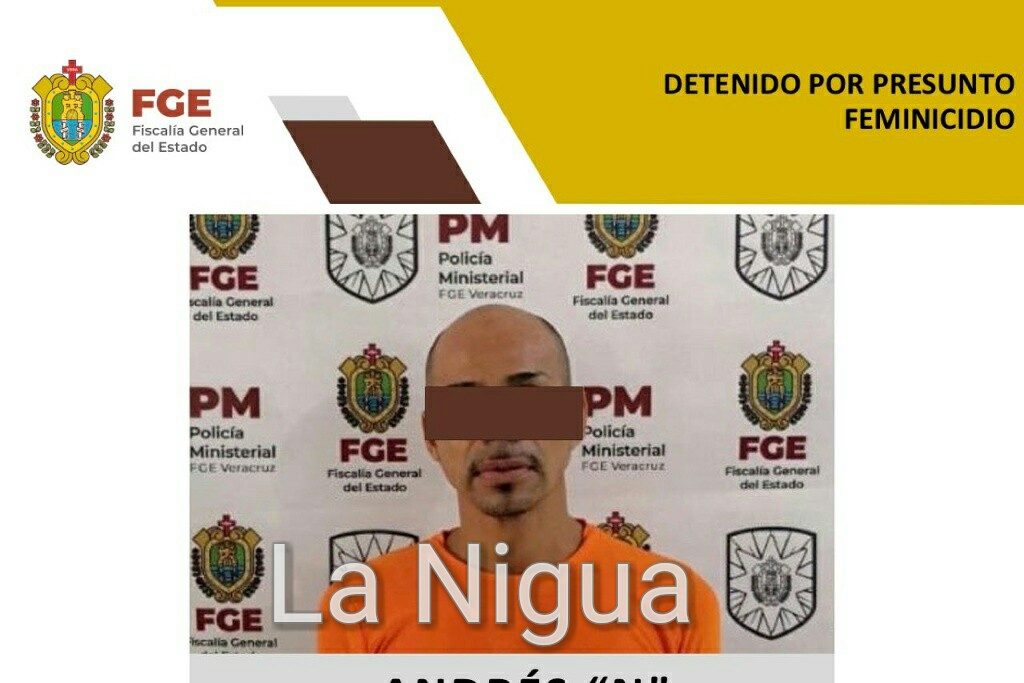 Detienen al presunto asesino de dos ancianas, en colonia Flores Magón de Veracruz.