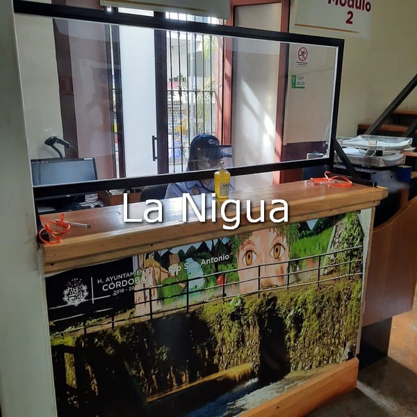 Oficina Municipal de SRE en Córdoba reinicia actividades