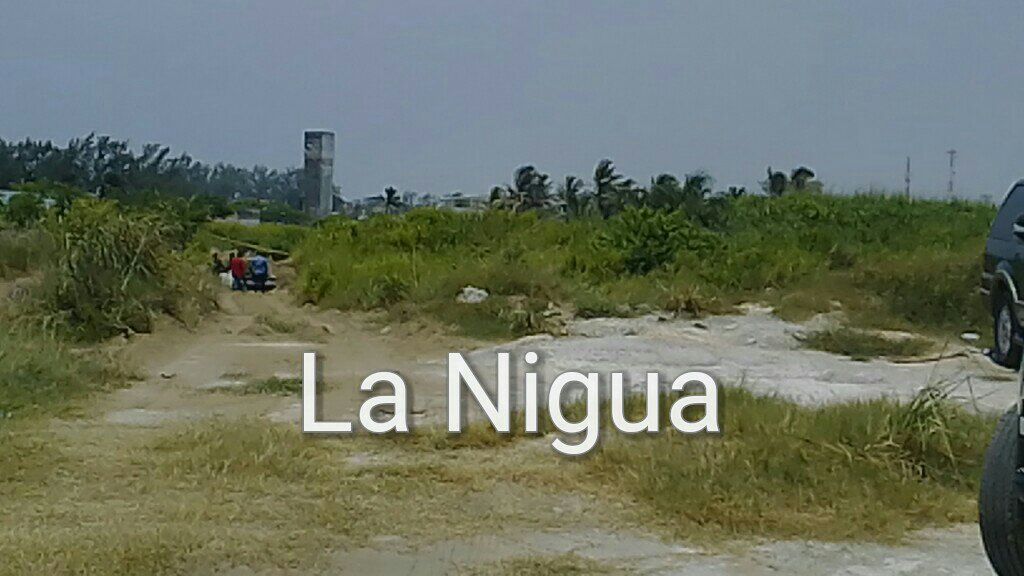 img 20200706 wa0098 wm 1061050368