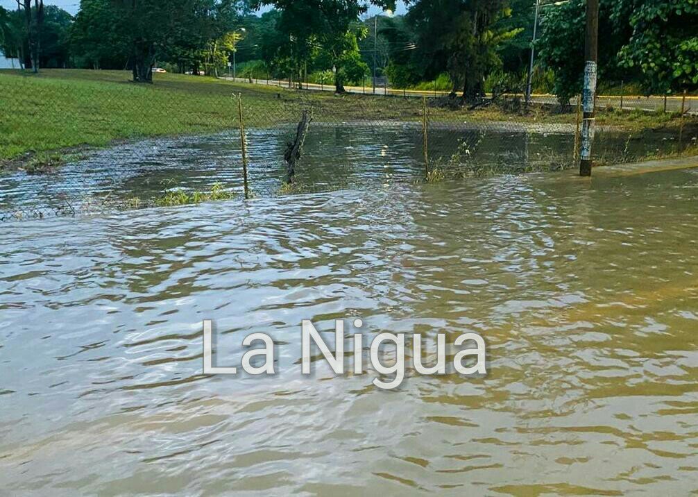 img 20200707 wa0147 wm 2120790442