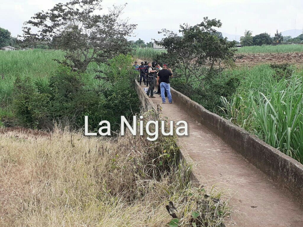 img 20200710 wa0033 wm2037671693