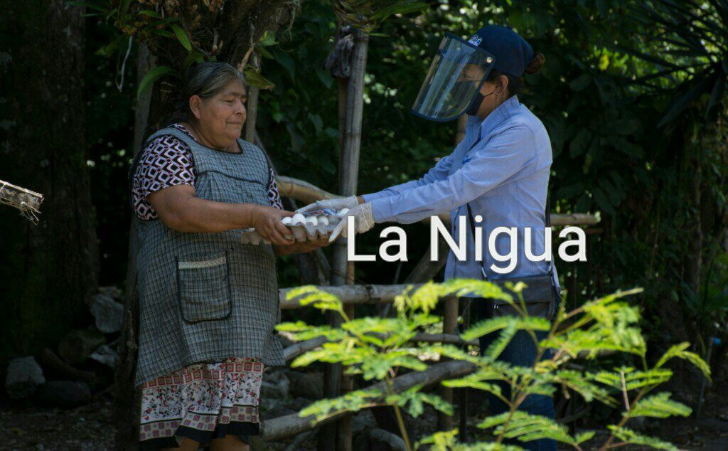 Familias de Infonavit San Nicolás y la comunidad Cuauhtémoc reciben subsidio alimentario