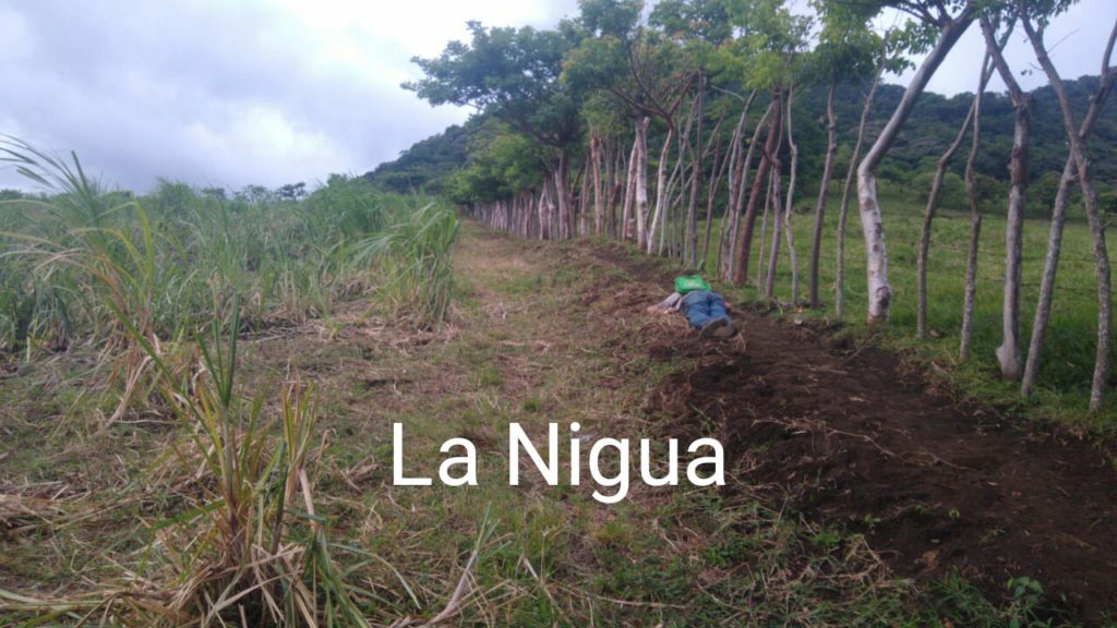 Un hombre fue privado de la vida de al menos dos balazos