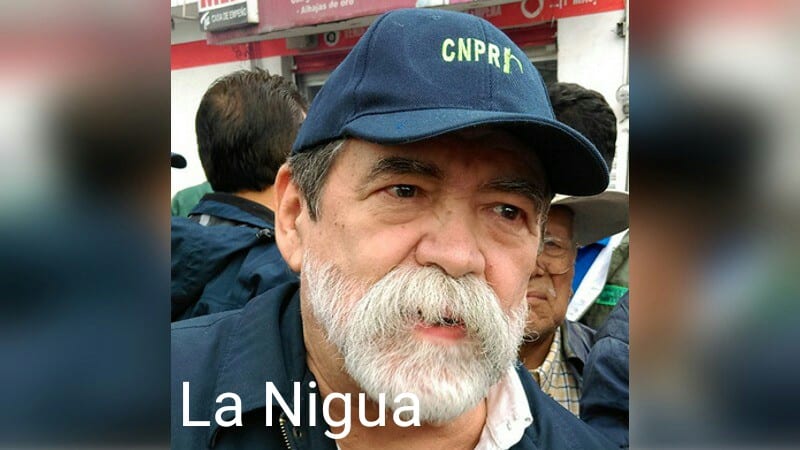 La Escuela de Beisbol FormandoTalentos CNPR, más firme que nunca