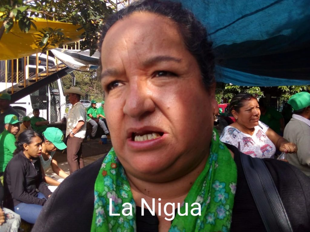 Fallece Martha Macedo Macedo de COVID- 19