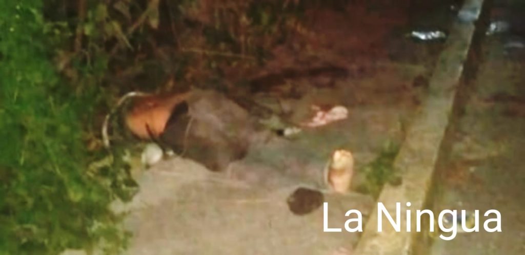 Arrollan y matan a un papanteco!!!