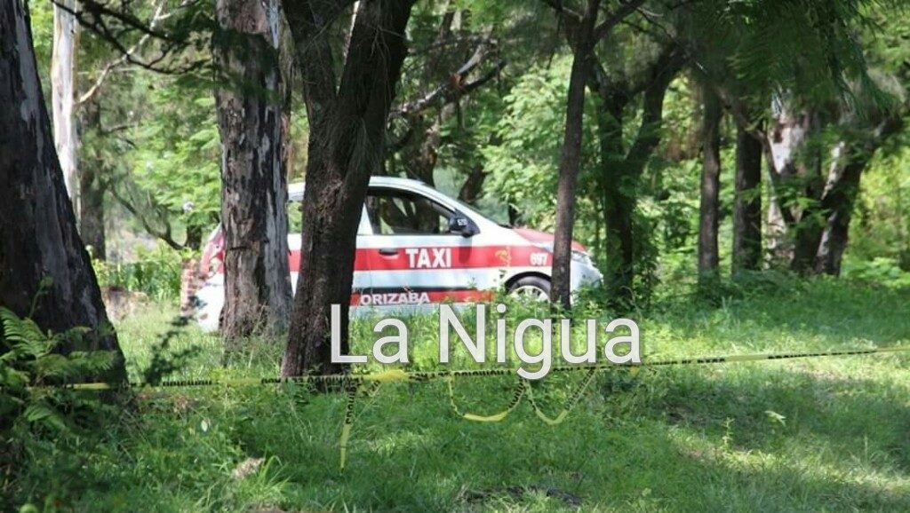 Aparece taxi de Orizaba en el estado de Guanajuato con dos ejecutados