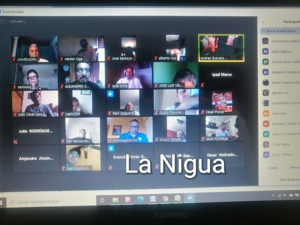 Histórica y productiva primerareunión virtual de Femecrode