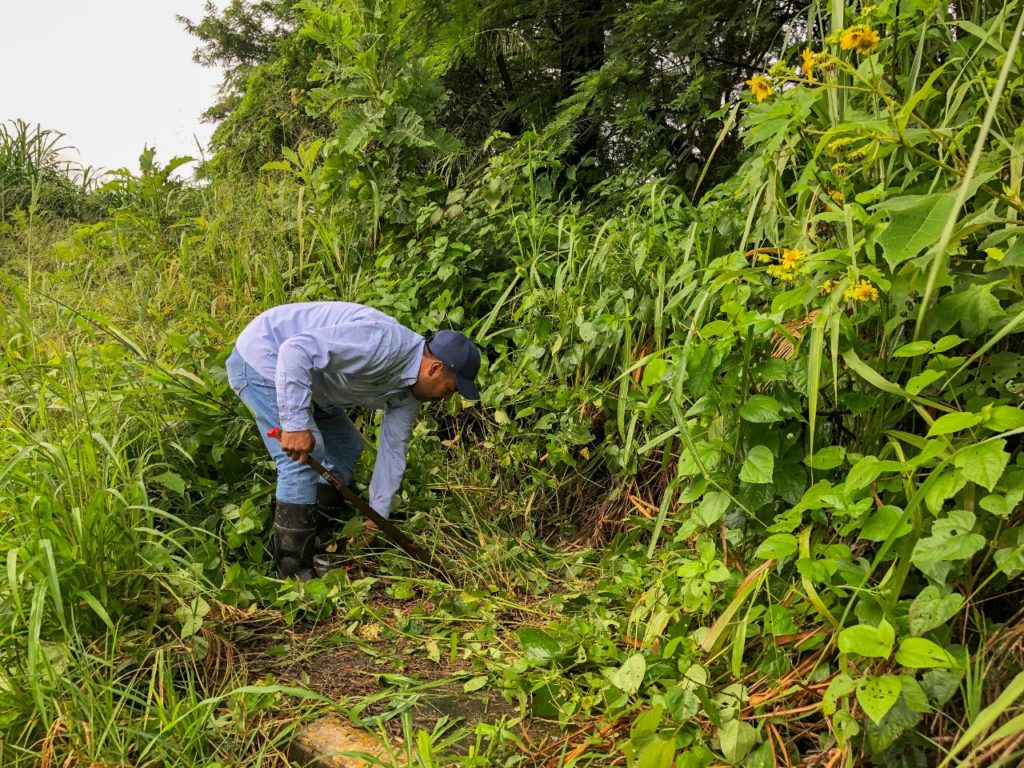 Ayuntamiento de Fortín intensifica acciones de mantenimiento de parques y jardines 3 IMG 20200826 WA0001