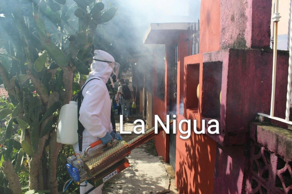 Ante COVID19, Ayuntamiento de Córdoba realiza jornada intensiva en unidad habitacional San Román