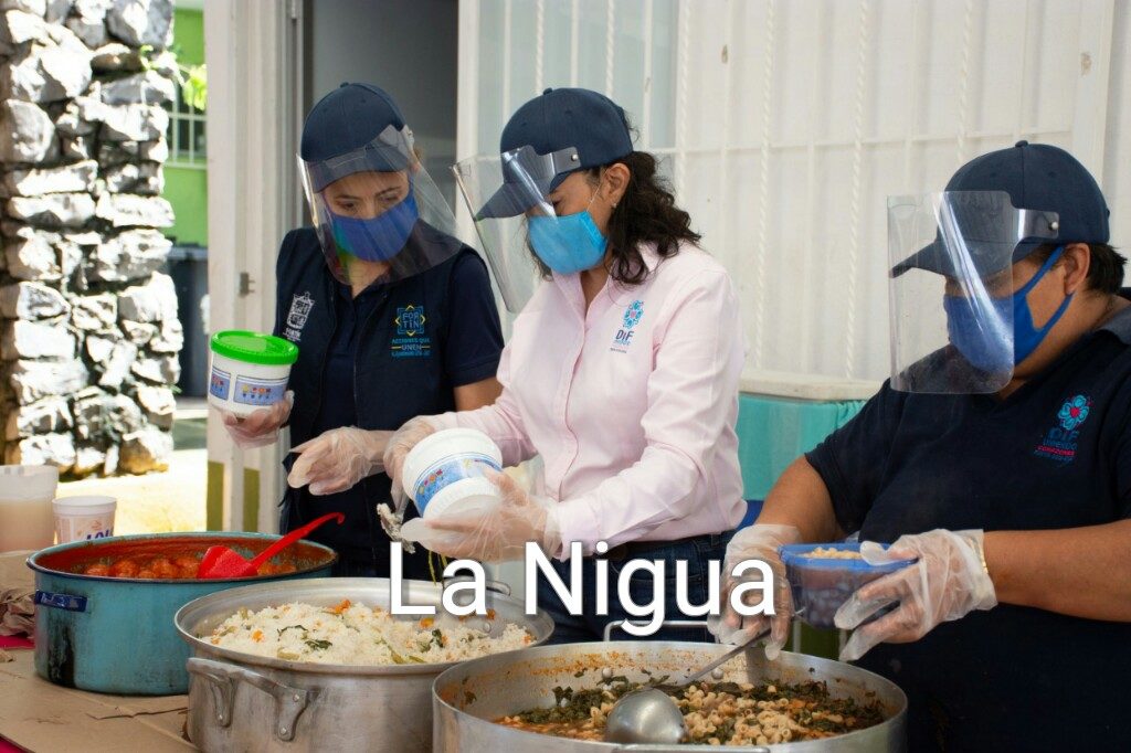 Programa de apoyos alimentarios cumple 4 meses brindando alimentos a los fortinenses más vulnerables ante la pandemia
