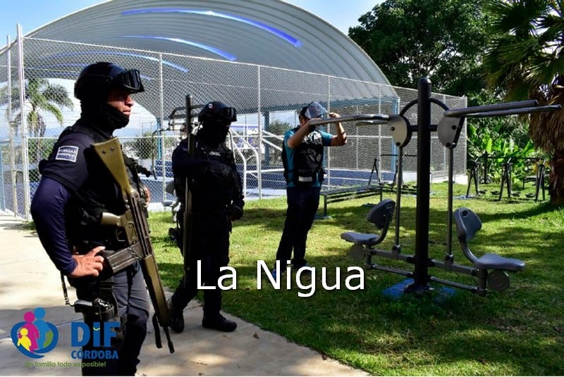 Reitera DIF Córdoba no exponer a niños y adultos mayores en espacios públicos