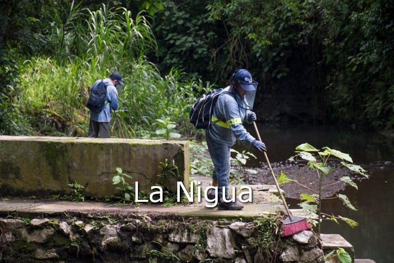 Realizan labores de limpieza en paseo del Río San Antonio
