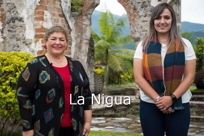 Jóvenes factor de cambio dentro de la sociedad: Paulina Cozar