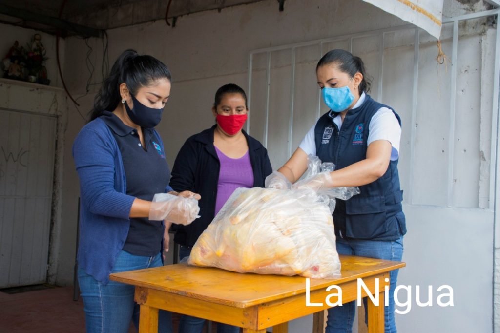 DIF Fortín realiza entrega de pollos a comedores comunitarios de comunidades