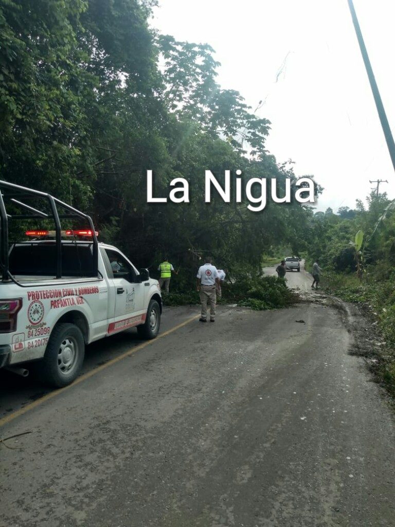 En alerta, personal de PC PAPANTLA ante las intensas lluvias de la región