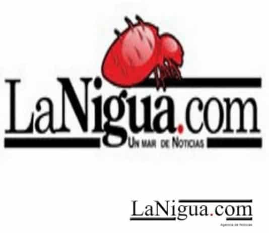 Hallan cuerpo en cañales