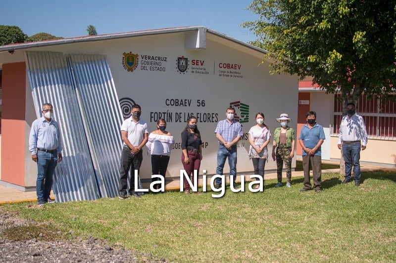 COBAEV 56 RECIBE APOYO DE LÁMINAS POR PARTE DEL AYUNTAMIENTO DE FORTÍN