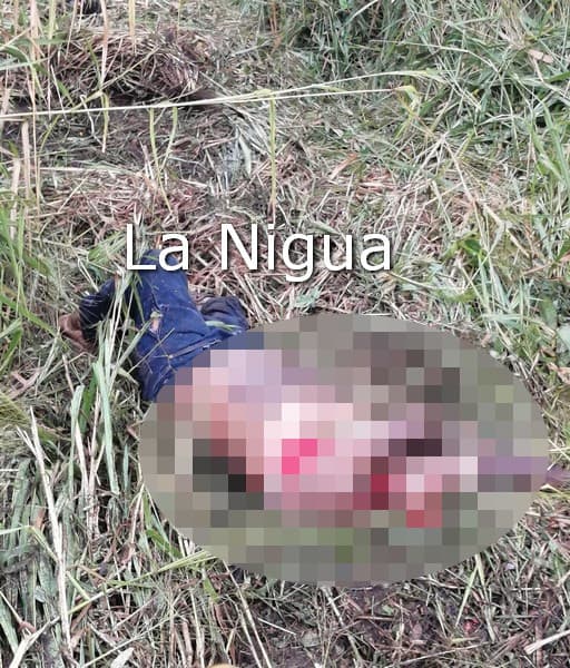 Decapitado en choque.