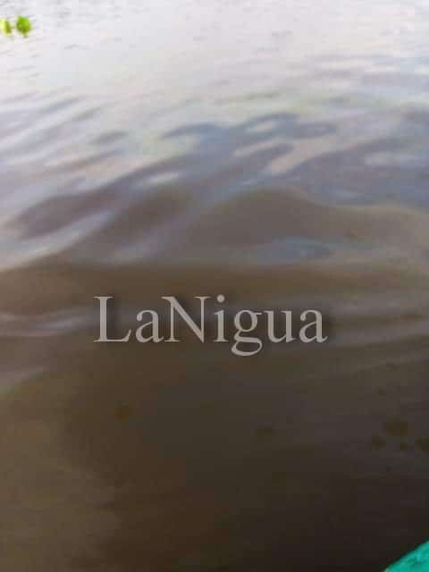 WhatsApp Image 2020 09 14 at 17.45.43